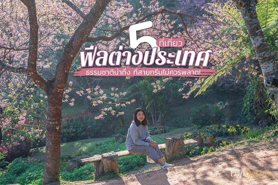 5 ที่เที่ยวฟีลต่างประเทศ ธรรมชาติน่าทึ่งที่สายกรีนไม่ควรพลาด