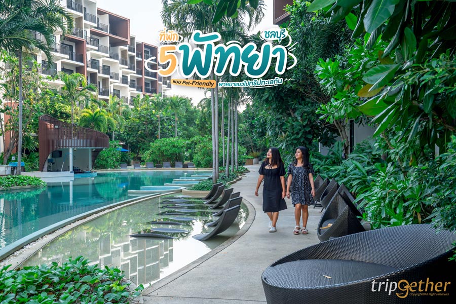 5 ที่พักพัทยา ชลบุรี แบบ Pet-Friendly พาหมาแมวไปทริปทะเลกัน
