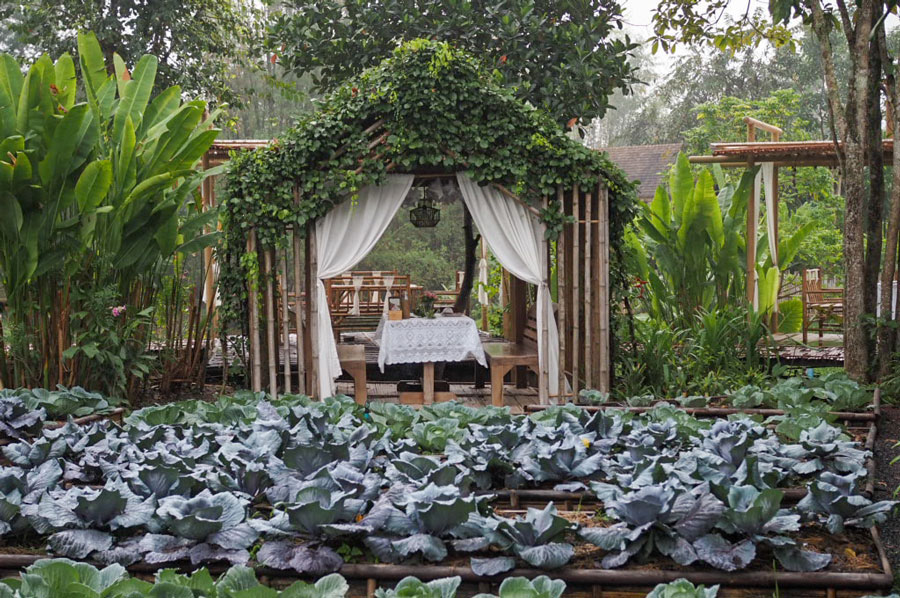 5 ฟาร์มสเตย์ใกล้กรุง