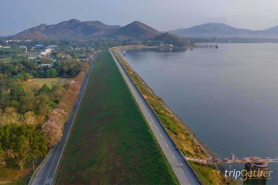 14 จุดเช็คอินชลบุรี มัดรวมคาเฟ่และที่เที่ยวห้ามพลาด