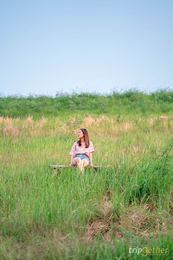 14 จุดเช็คอินชลบุรี มัดรวมคาเฟ่และที่เที่ยวห้ามพลาด