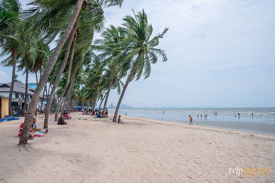 14 จุดเช็คอินชลบุรี มัดรวมคาเฟ่และที่เที่ยวห้ามพลาด