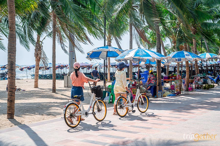 14 จุดเช็คอินชลบุรี มัดรวมคาเฟ่และที่เที่ยวห้ามพลาด