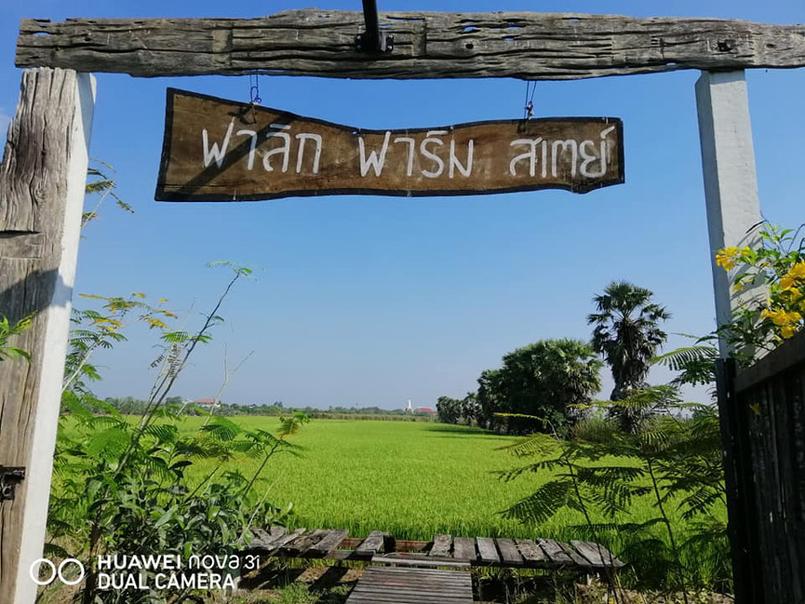 5 ฟาร์มสเตย์ใกล้กรุง