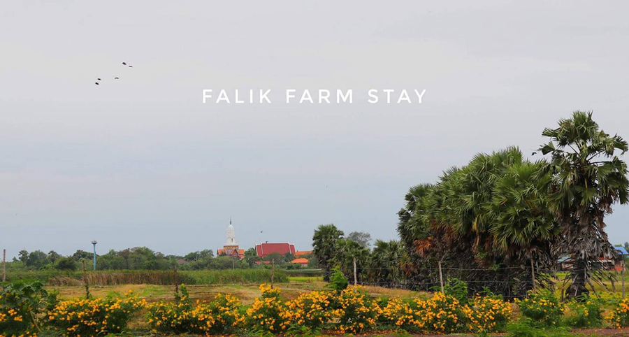 5 ฟาร์มสเตย์ใกล้กรุง