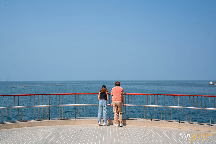 14 จุดเช็คอินชลบุรี มัดรวมคาเฟ่และที่เที่ยวห้ามพลาด