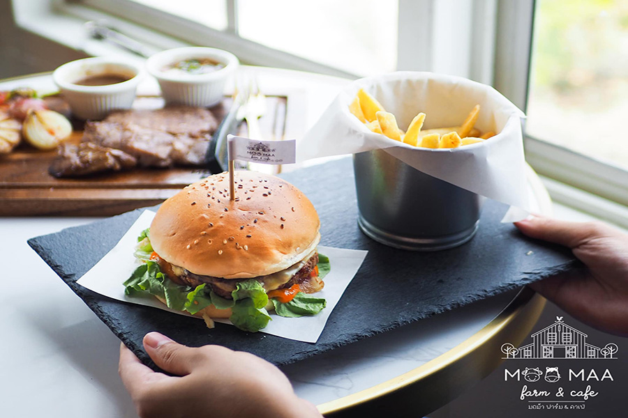 5 ฟาร์มคาเฟ่ สูดกลิ่นอายธรรมชาติ กิจกรรมเน้นๆ แบบฉบับฟาร์มเมอร์