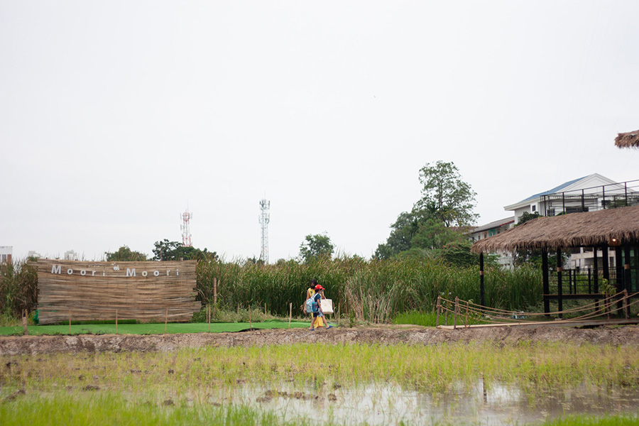 5 ฟาร์มคาเฟ่ สูดกลิ่นอายธรรมชาติ กิจกรรมเน้นๆ แบบฉบับฟาร์มเมอร์