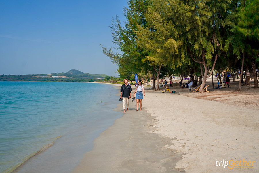 14 จุดเช็คอินชลบุรี มัดรวมคาเฟ่และที่เที่ยวห้ามพลาด