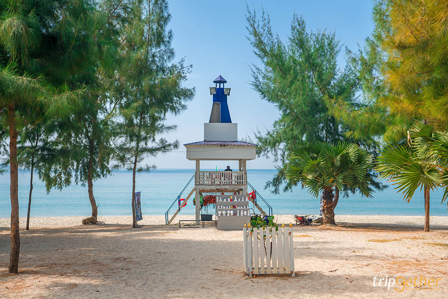 14 จุดเช็คอินชลบุรี มัดรวมคาเฟ่และที่เที่ยวห้ามพลาด