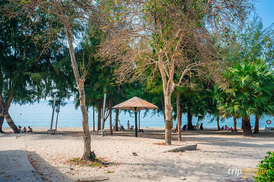 14 จุดเช็คอินชลบุรี มัดรวมคาเฟ่และที่เที่ยวห้ามพลาด