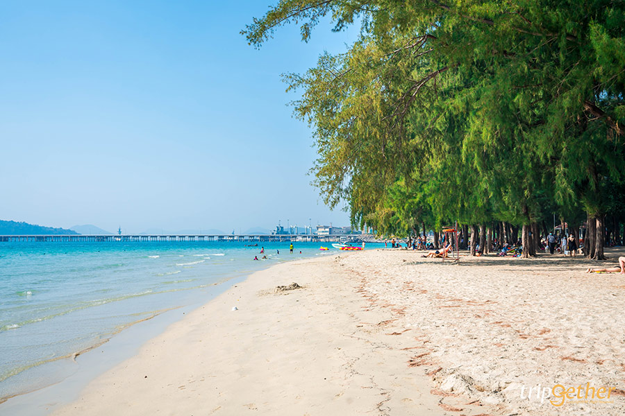 14 จุดเช็คอินชลบุรี มัดรวมคาเฟ่และที่เที่ยวห้ามพลาด