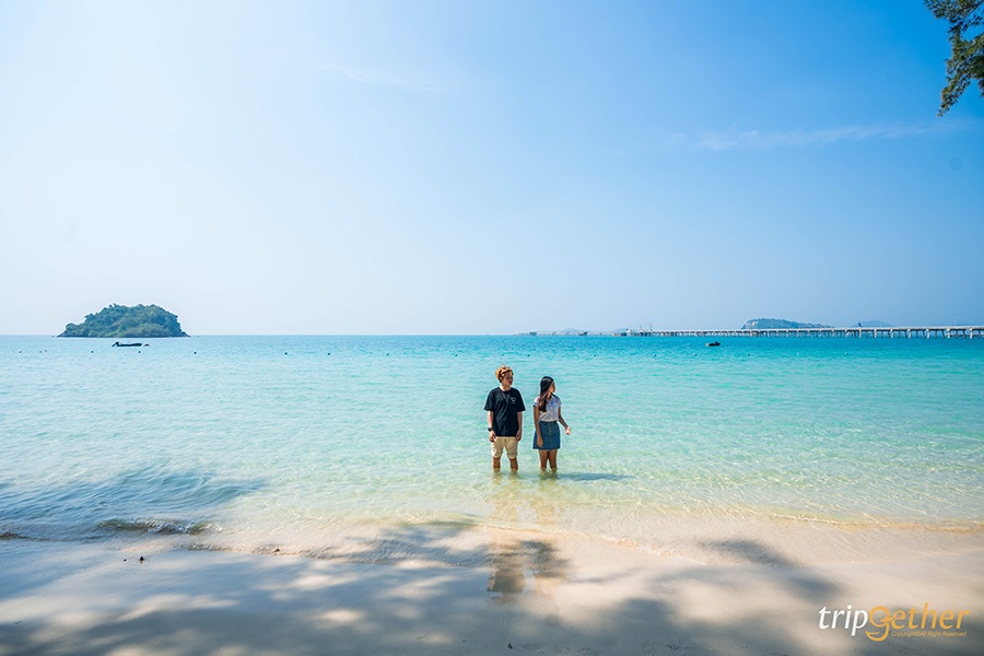 14 จุดเช็คอินชลบุรี มัดรวมคาเฟ่และที่เที่ยวห้ามพลาด