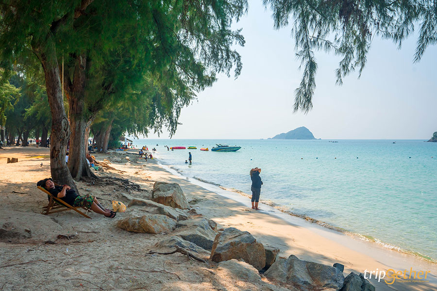 14 จุดเช็คอินชลบุรี มัดรวมคาเฟ่และที่เที่ยวห้ามพลาด