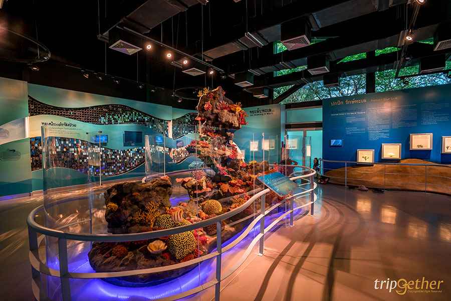 14 จุดเช็คอินชลบุรี มัดรวมคาเฟ่และที่เที่ยวห้ามพลาด