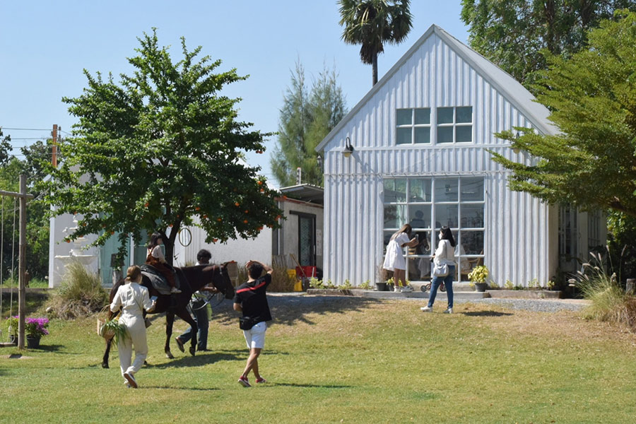 5 ฟาร์มคาเฟ่ สูดกลิ่นอายธรรมชาติ กิจกรรมเน้นๆ แบบฉบับฟาร์มเมอร์