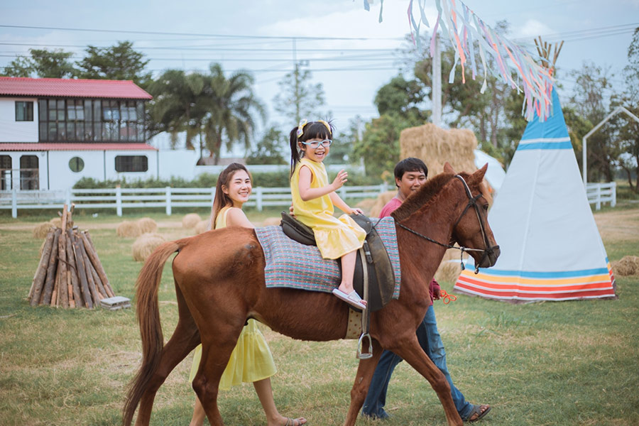 5 ฟาร์มคาเฟ่ สูดกลิ่นอายธรรมชาติ กิจกรรมเน้นๆ แบบฉบับฟาร์มเมอร์