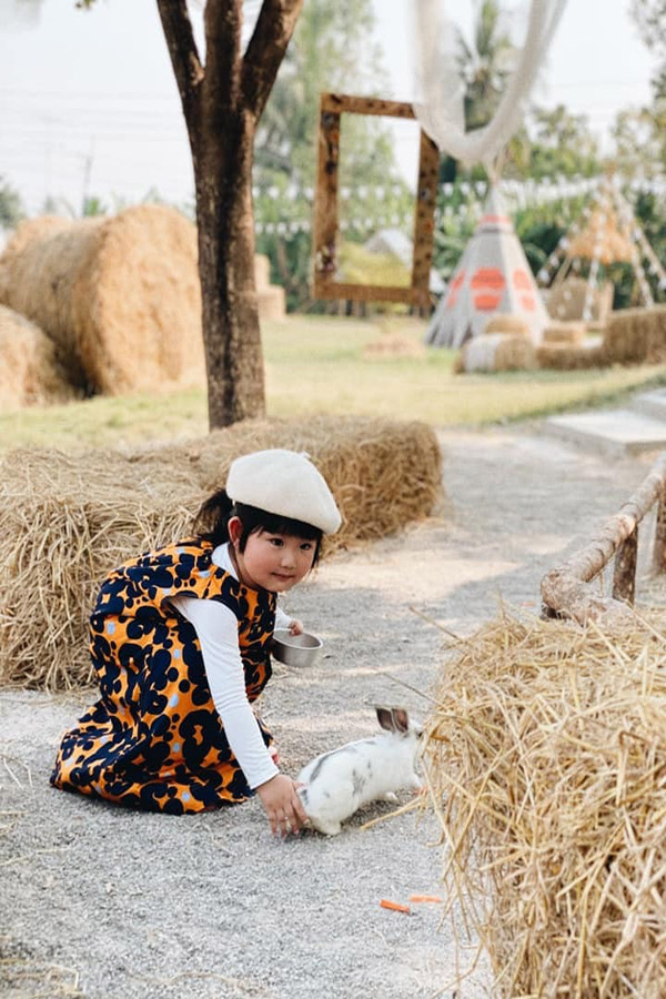 5 ฟาร์มคาเฟ่ สูดกลิ่นอายธรรมชาติ กิจกรรมเน้นๆ แบบฉบับฟาร์มเมอร์