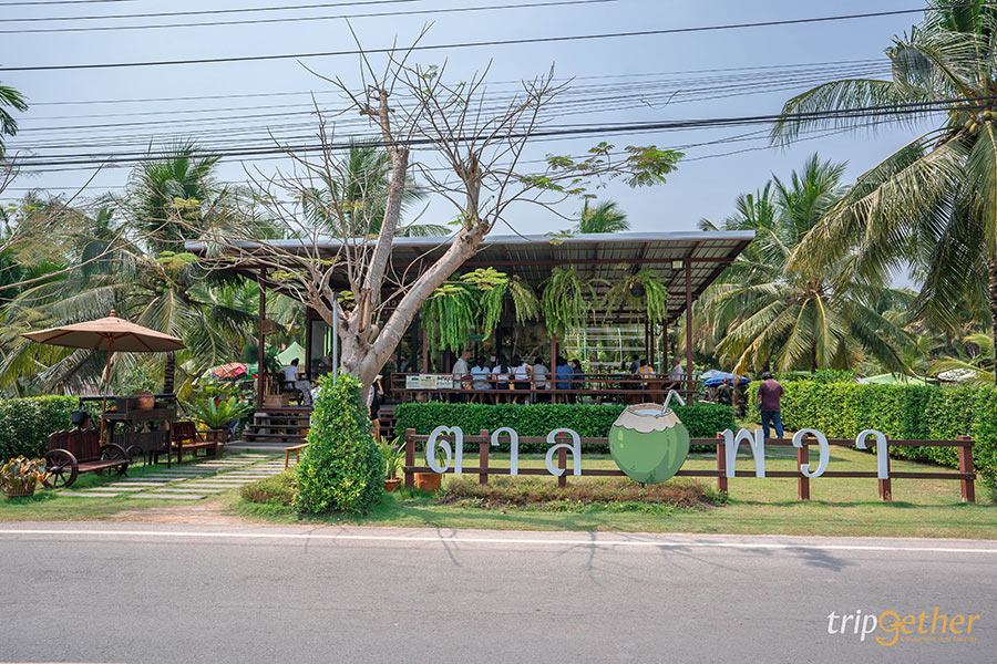 7 คาเฟ่สวนมะพร้าว