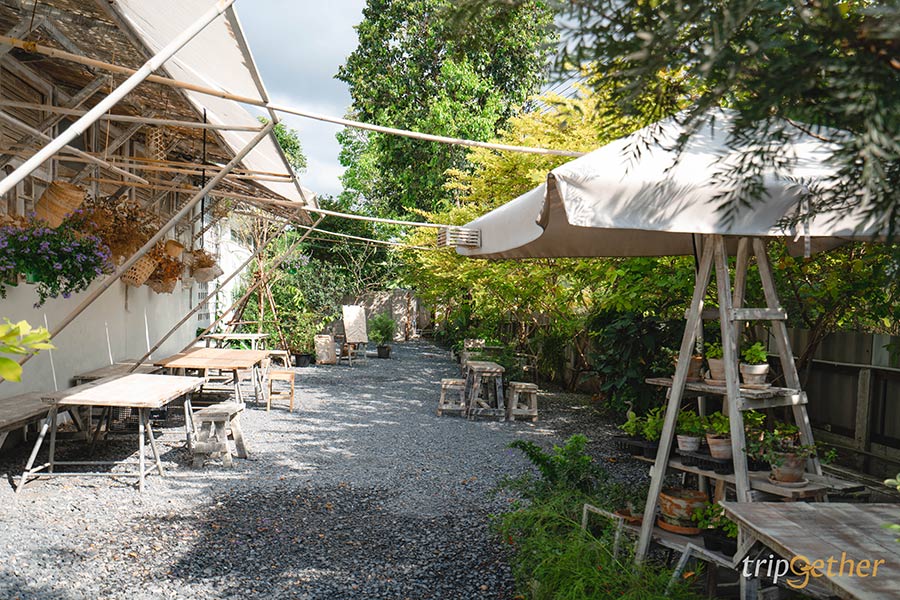 7 คาเฟ่กลางสวนสวย พบกับความกรีนที่กรุงเทพฯ และปริมณฑล