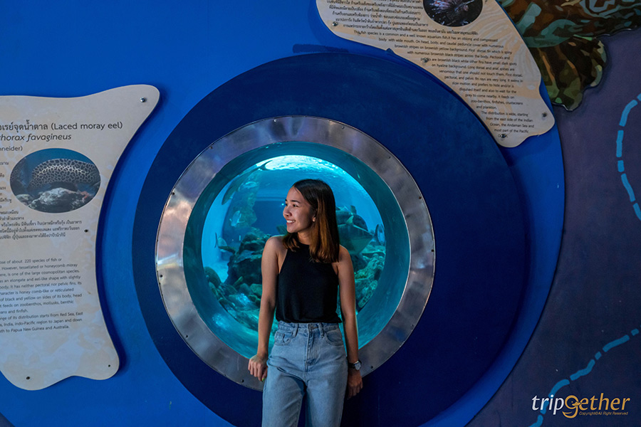 14 จุดเช็คอินชลบุรี มัดรวมคาเฟ่และที่เที่ยวห้ามพลาด