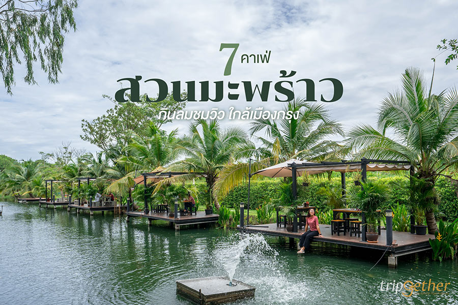 7 คาเฟ่สวนมะพร้าว