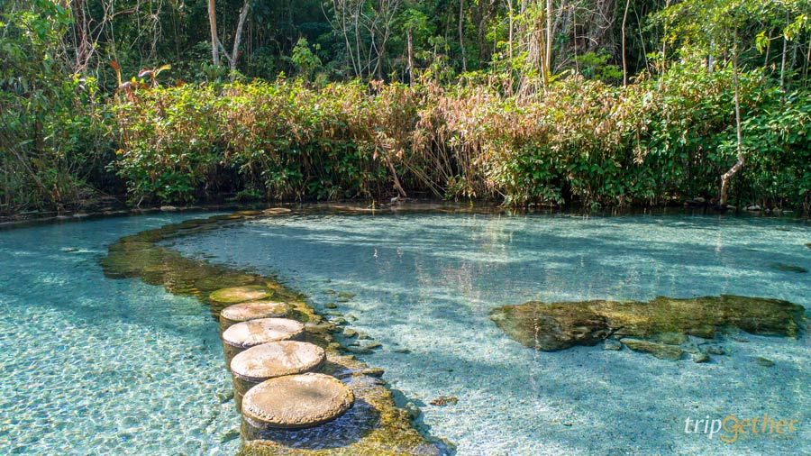 6 ที่เที่ยวสุราษฎ์ธานี