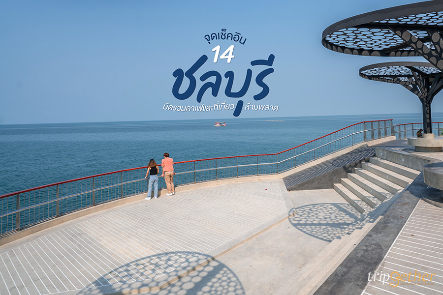 14 จุดเช็คอินชลบุรี มัดรวมคาเฟ่และที่เที่ยวห้ามพลาด