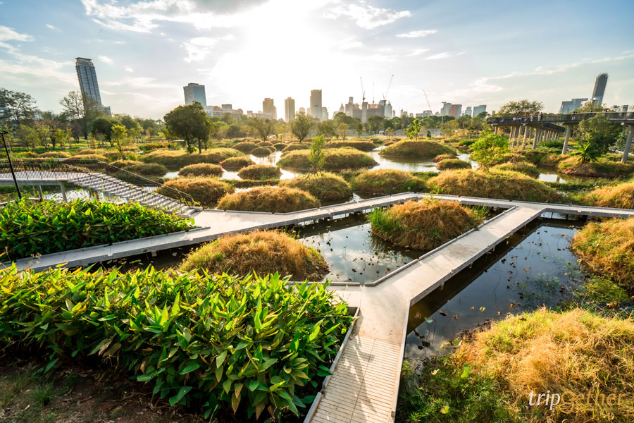 5 สวนสาธารณะกรุงเทพฯ จุดเช็คอินสีเขียวในเมืองหลวง