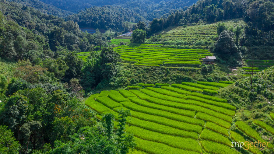 6 หมู่บ้านภาคเหนือกลางเขา รับอากาศเย็นแบบเหมาๆ ได้ทั้งปี!