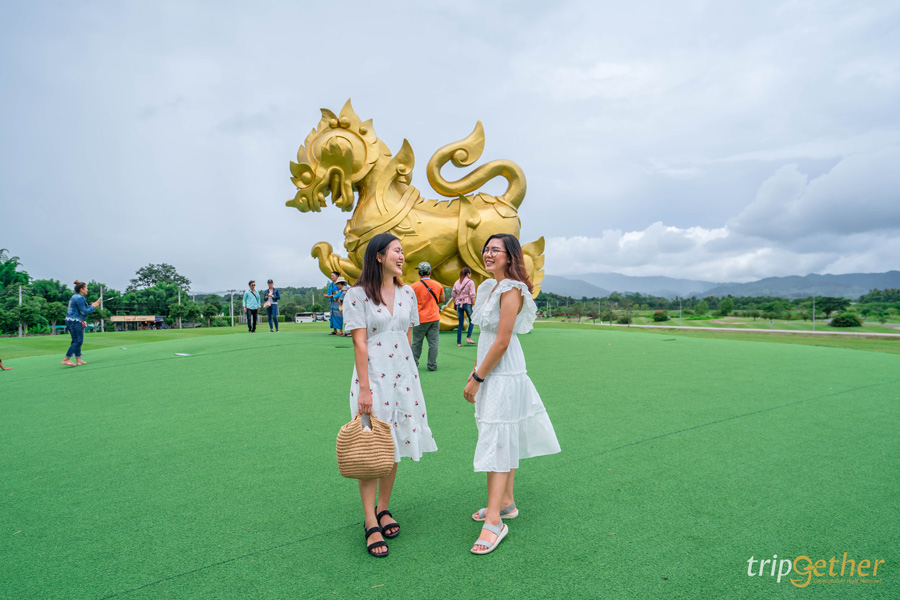 6 คาเฟ่กลางทุ่งหญ้า น่าไปเช็คอินนั่งชิลล์