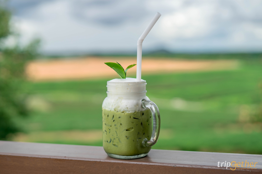 6 คาเฟ่กลางทุ่งหญ้า น่าไปเช็คอินนั่งชิลล์