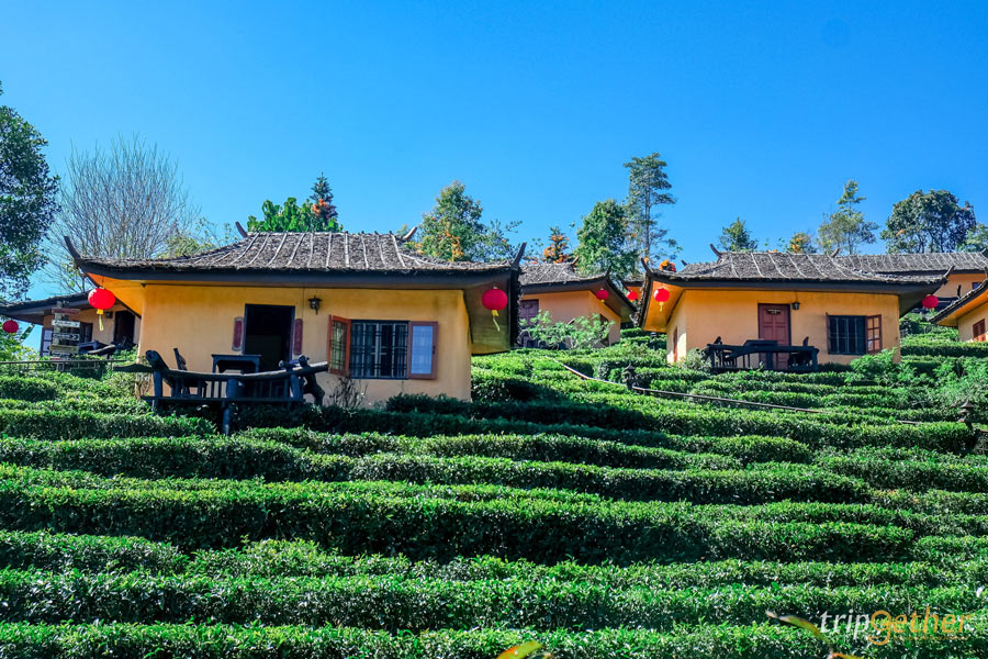 15 ที่เที่ยวช่วงต้นปี เช็คอินชิลล์ๆ กับอากาศอบอุ่น