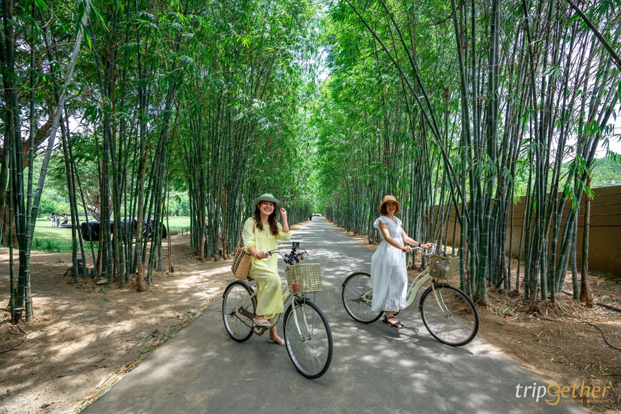 6 คาเฟ่กลางทุ่งหญ้า น่าไปเช็คอินนั่งชิลล์