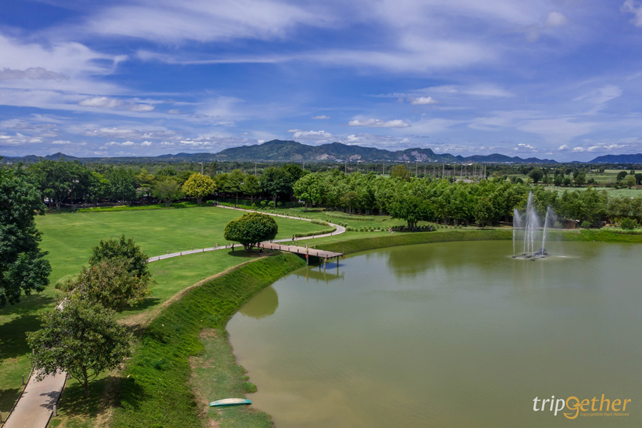 6 คาเฟ่กลางทุ่งหญ้า น่าไปเช็คอินนั่งชิลล์