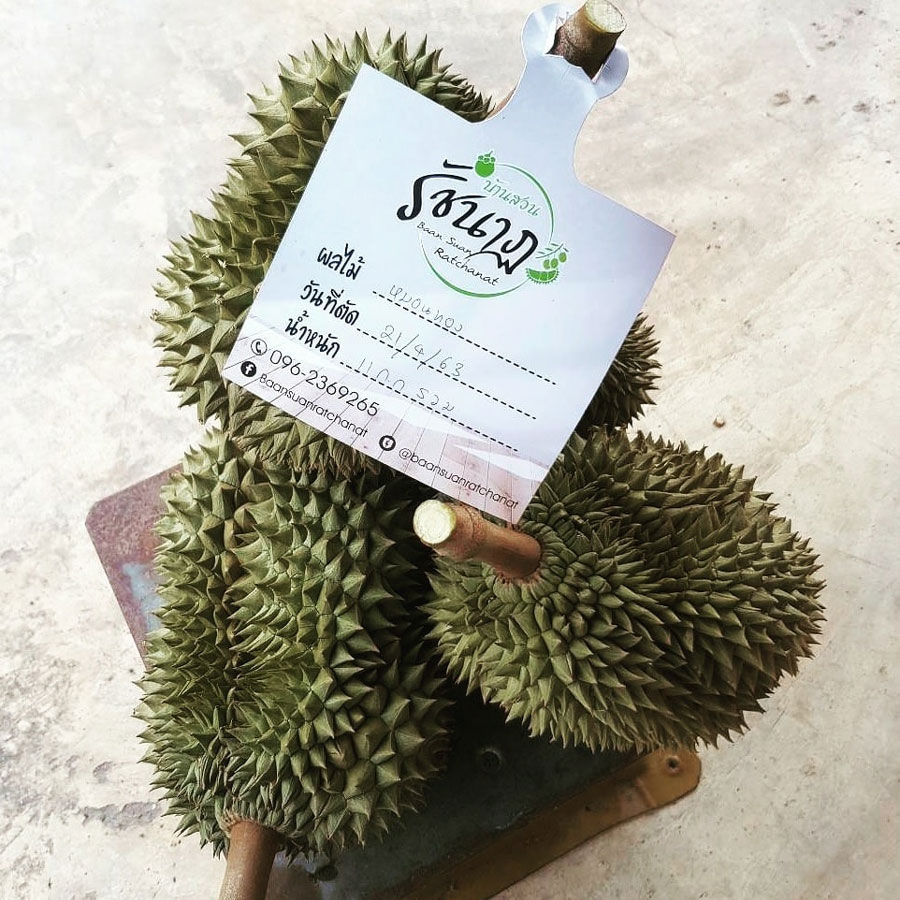 7 สวนผลไม้ระยอง - จันทบุรี การันตีความสดจากต้น บริการส่งทั่วไทย