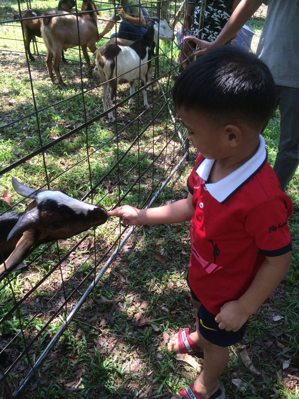 7 สวนผลไม้ระยอง - จันทบุรี การันตีความสดจากต้น บริการส่งทั่วไทย