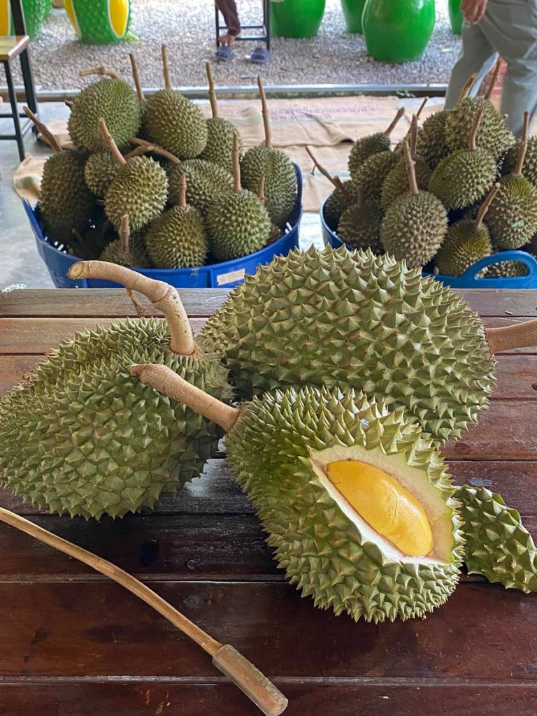 7 สวนผลไม้ระยอง - จันทบุรี การันตีความสดจากต้น บริการส่งทั่วไทย