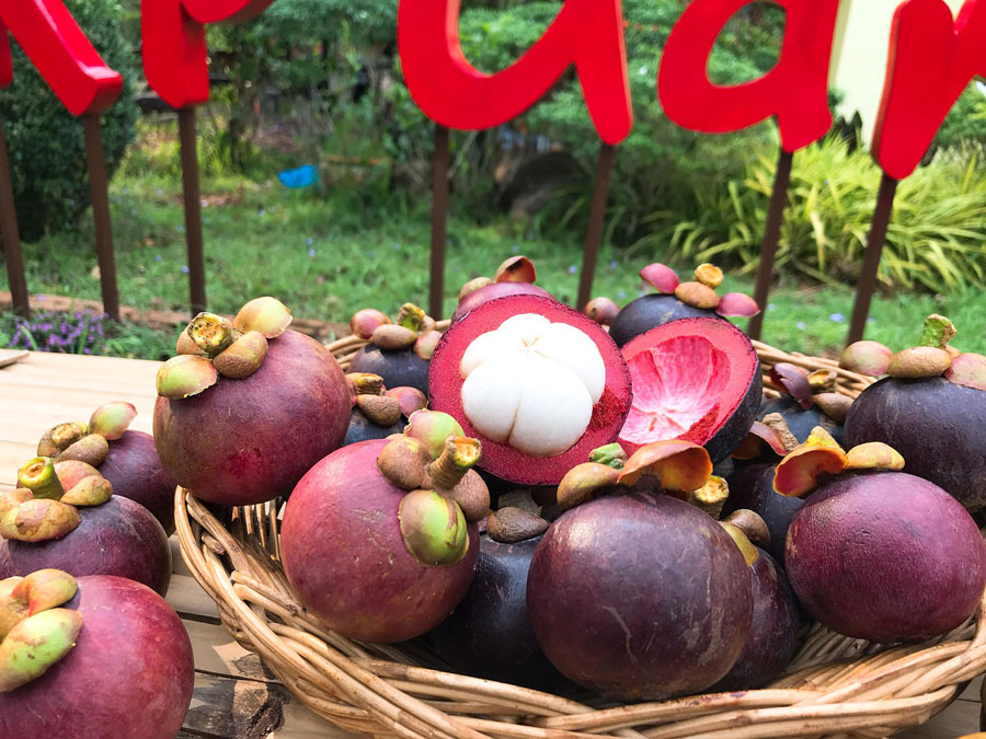 7 สวนผลไม้ระยอง - จันทบุรี การันตีความสดจากต้น บริการส่งทั่วไทย