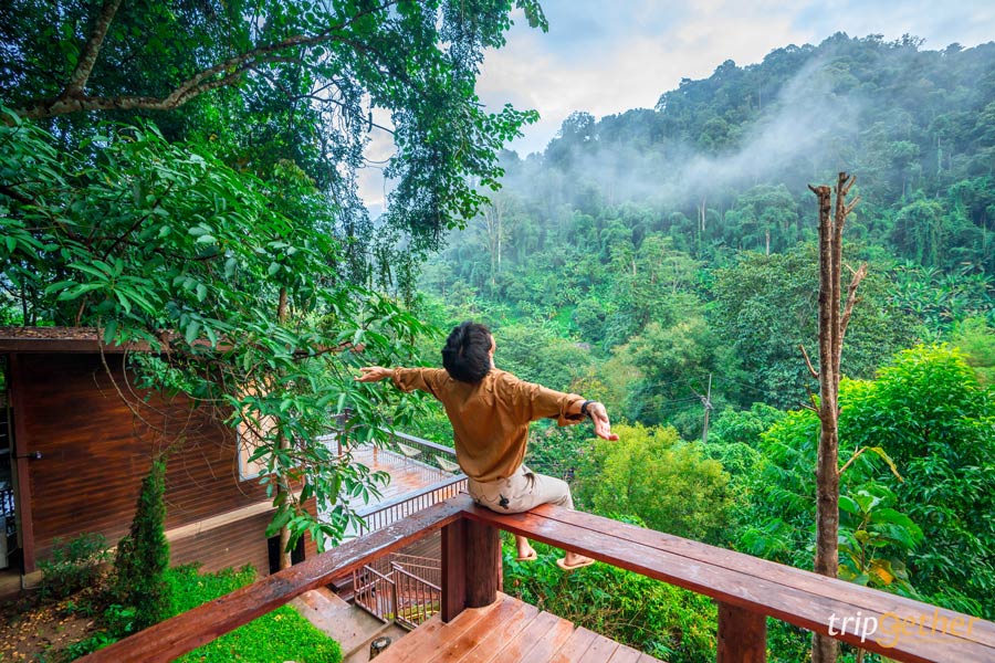 20 ที่เที่ยวภาคเหนือ จุดเช็คอินสวย ใช้เวลาเที่ยวชิลล์ๆ