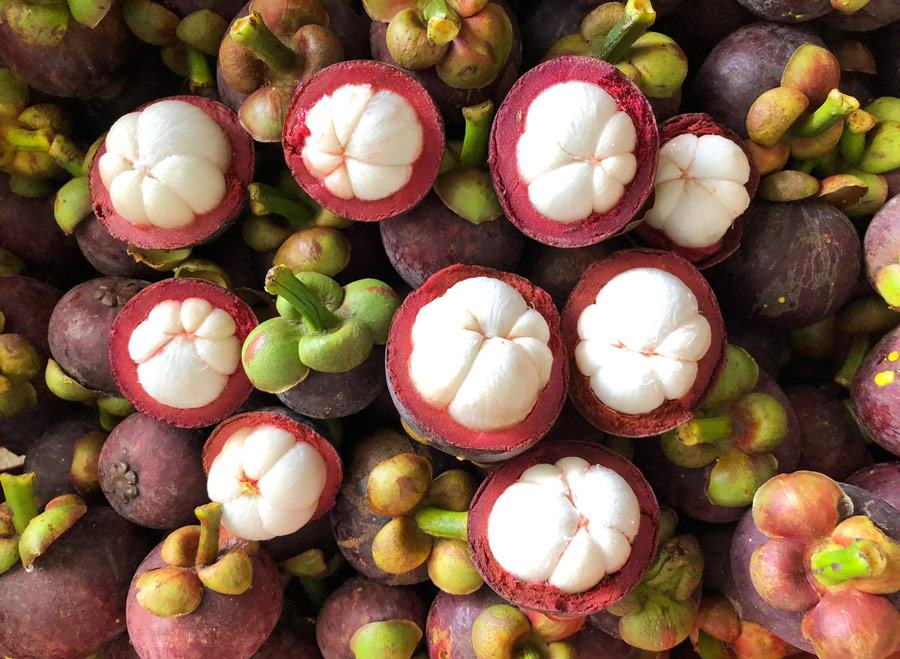 7 สวนผลไม้ระยอง - จันทบุรี การันตีความสดจากต้น บริการส่งทั่วไทย