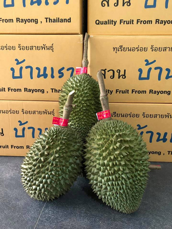 7 สวนผลไม้ระยอง - จันทบุรี การันตีความสดจากต้น บริการส่งทั่วไทย