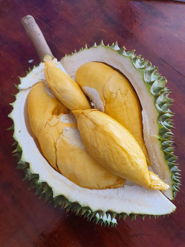 7 สวนผลไม้ระยอง - จันทบุรี การันตีความสดจากต้น บริการส่งทั่วไทย