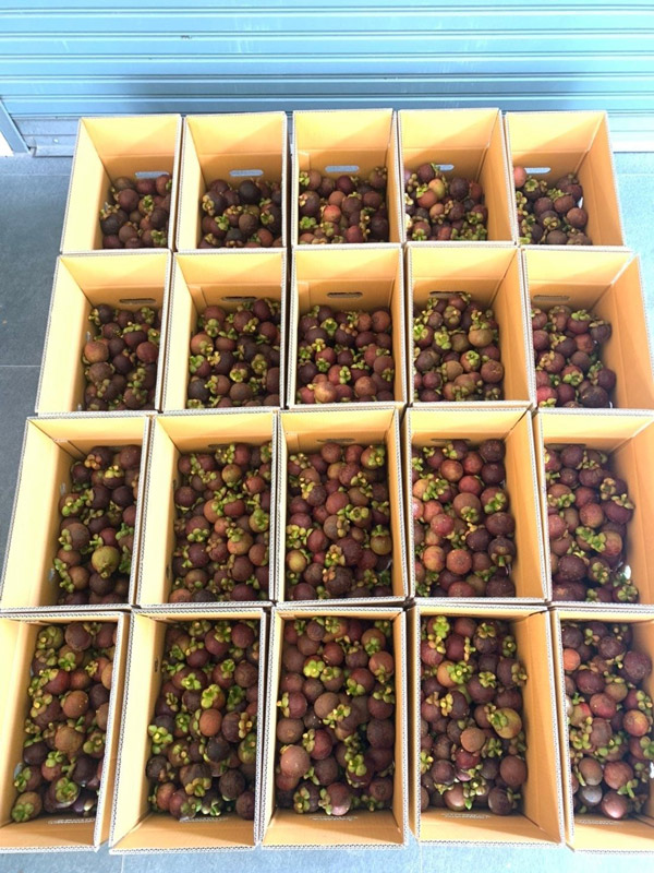 7 สวนผลไม้ระยอง - จันทบุรี การันตีความสดจากต้น บริการส่งทั่วไทย