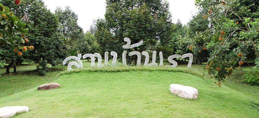 7 สวนผลไม้ระยอง - จันทบุรี การันตีความสดจากต้น บริการส่งทั่วไทย