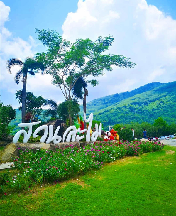 7 สวนผลไม้ระยอง - จันทบุรี การันตีความสดจากต้น บริการส่งทั่วไทย