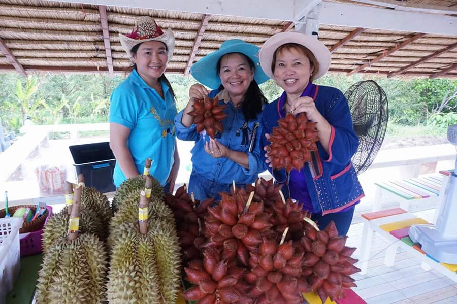 7 สวนผลไม้ระยอง - จันทบุรี การันตีความสดจากต้น บริการส่งทั่วไทย