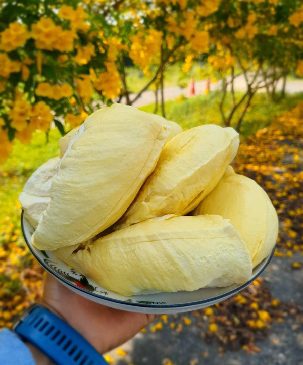 7 สวนผลไม้ระยอง - จันทบุรี การันตีความสดจากต้น บริการส่งทั่วไทย