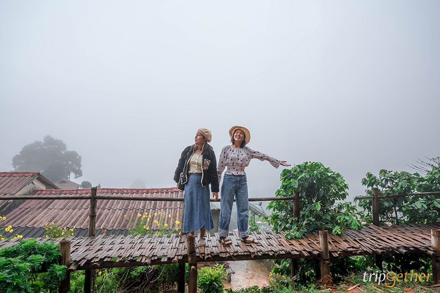 20 ที่เที่ยวภาคเหนือ จุดเช็คอินสวย ใช้เวลาเที่ยวชิลล์ๆ