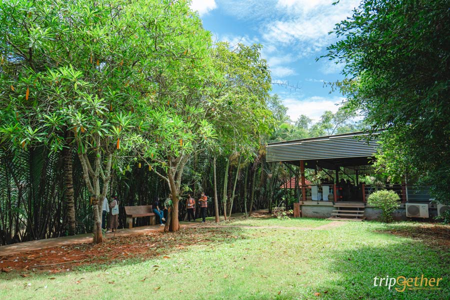 ที่กิน ที่เที่ยวสุราษฎร์ธานี